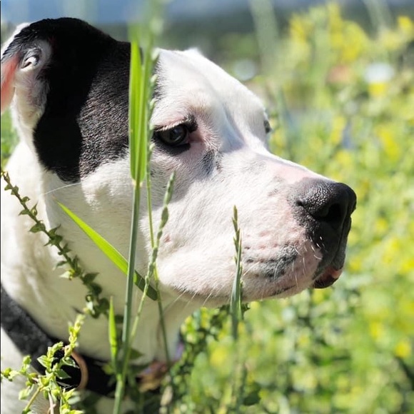 Welcome to POPNCO - Picture 3 of 11